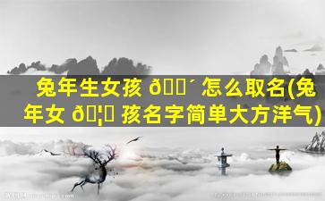 兔年生女孩 🐴 怎么取名(兔年女 🦅 孩名字简单大方洋气)